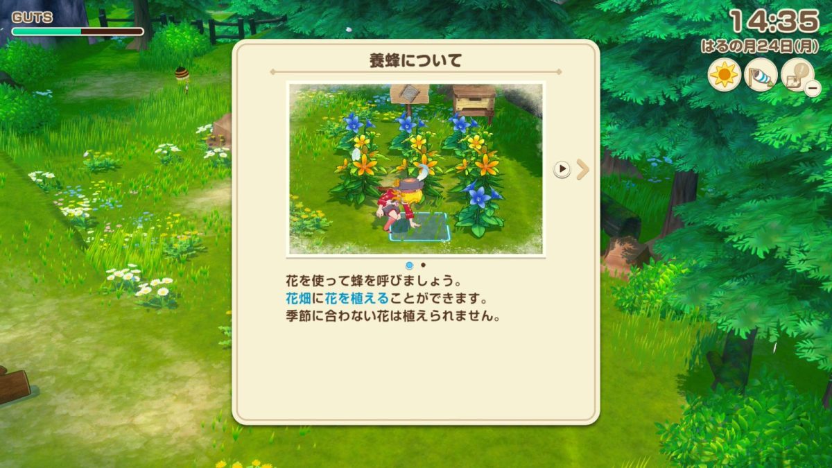 養蜂についての説明