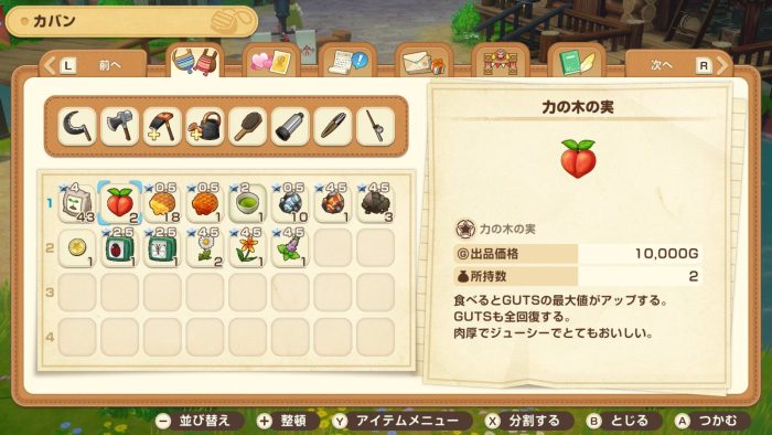 力の木の実説明