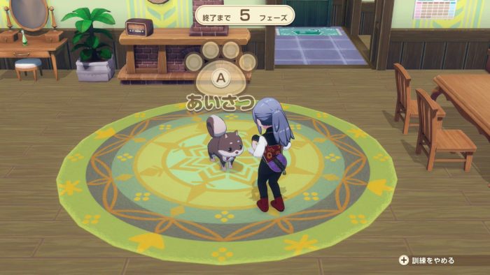 ペットの訓練中