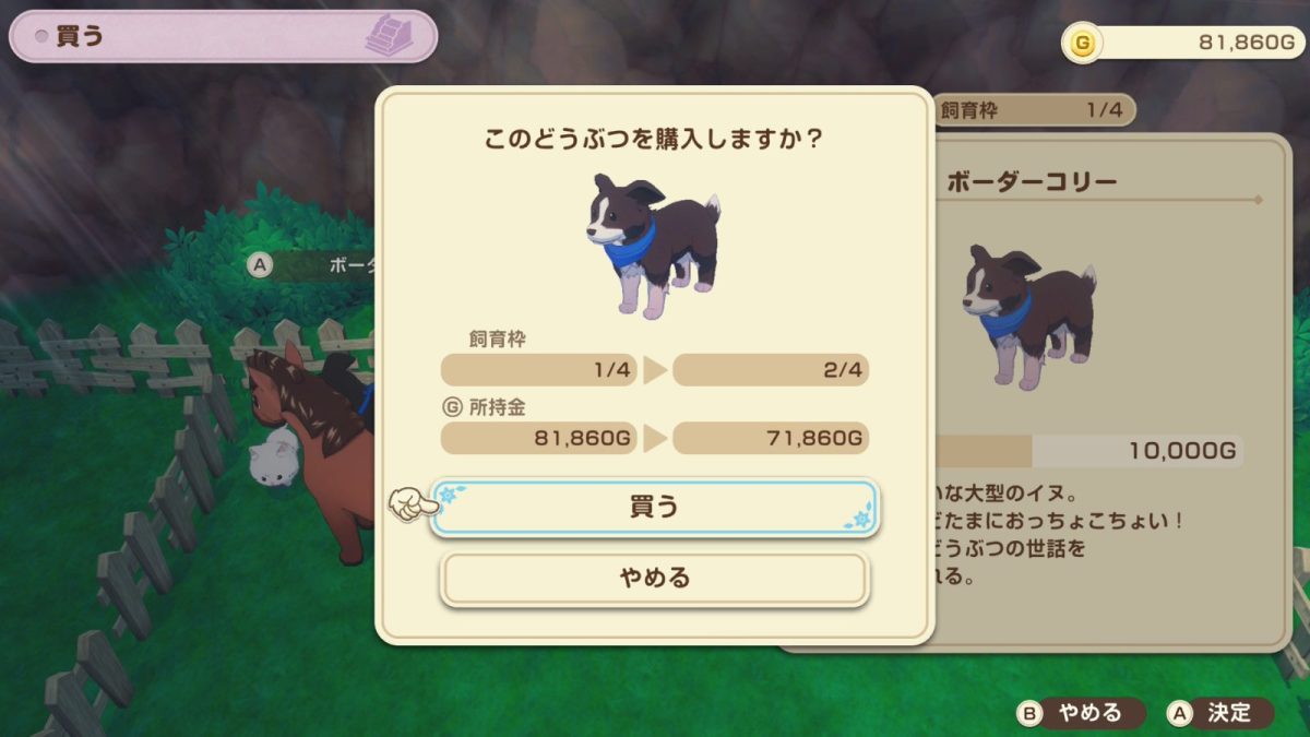ボーダーコリーを10,000Gで購入
