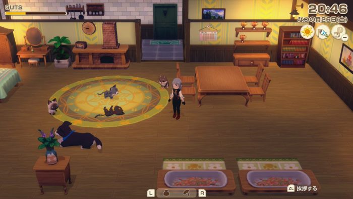 自宅の部屋で寛ぐ犬2匹と猫3匹の様子